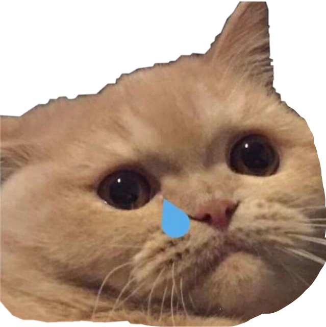 Sad Cat Memes Background Image PNG PNG Play