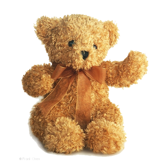 stuffed bear png