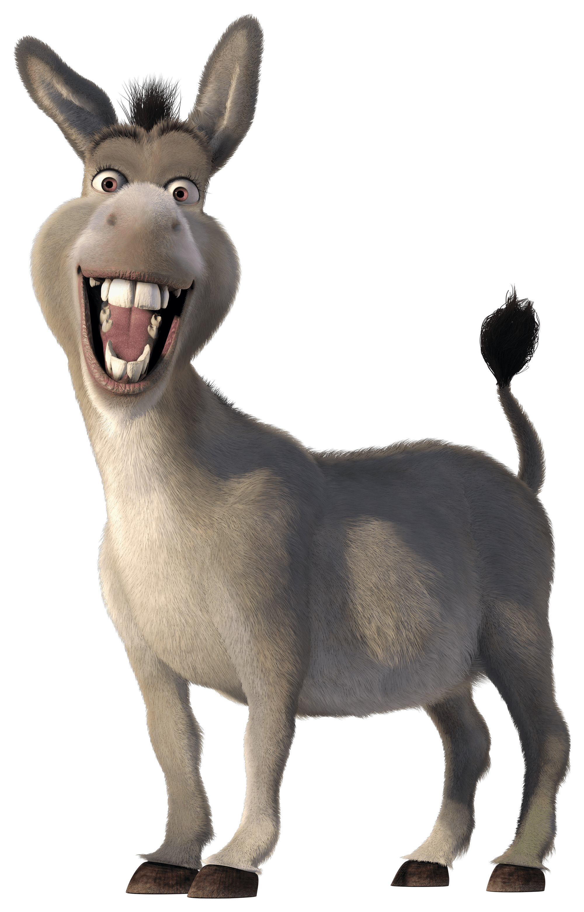 Donkey Png Images Transparent Background Png Play