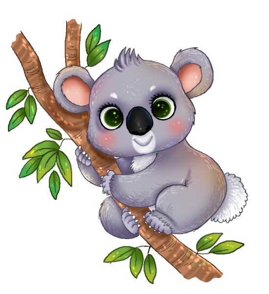 Koala Png Images Transparent Background Png Play