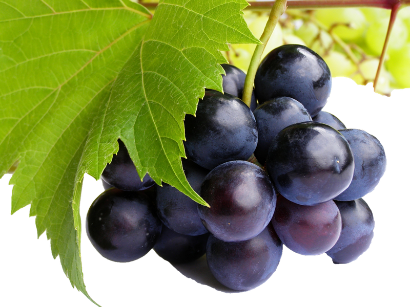 Black Grapes PNG Free Commercial Use Images - PNG Play