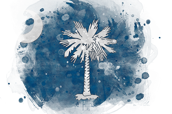 South Carolina State Flag Png Images Transparent Background Png Play