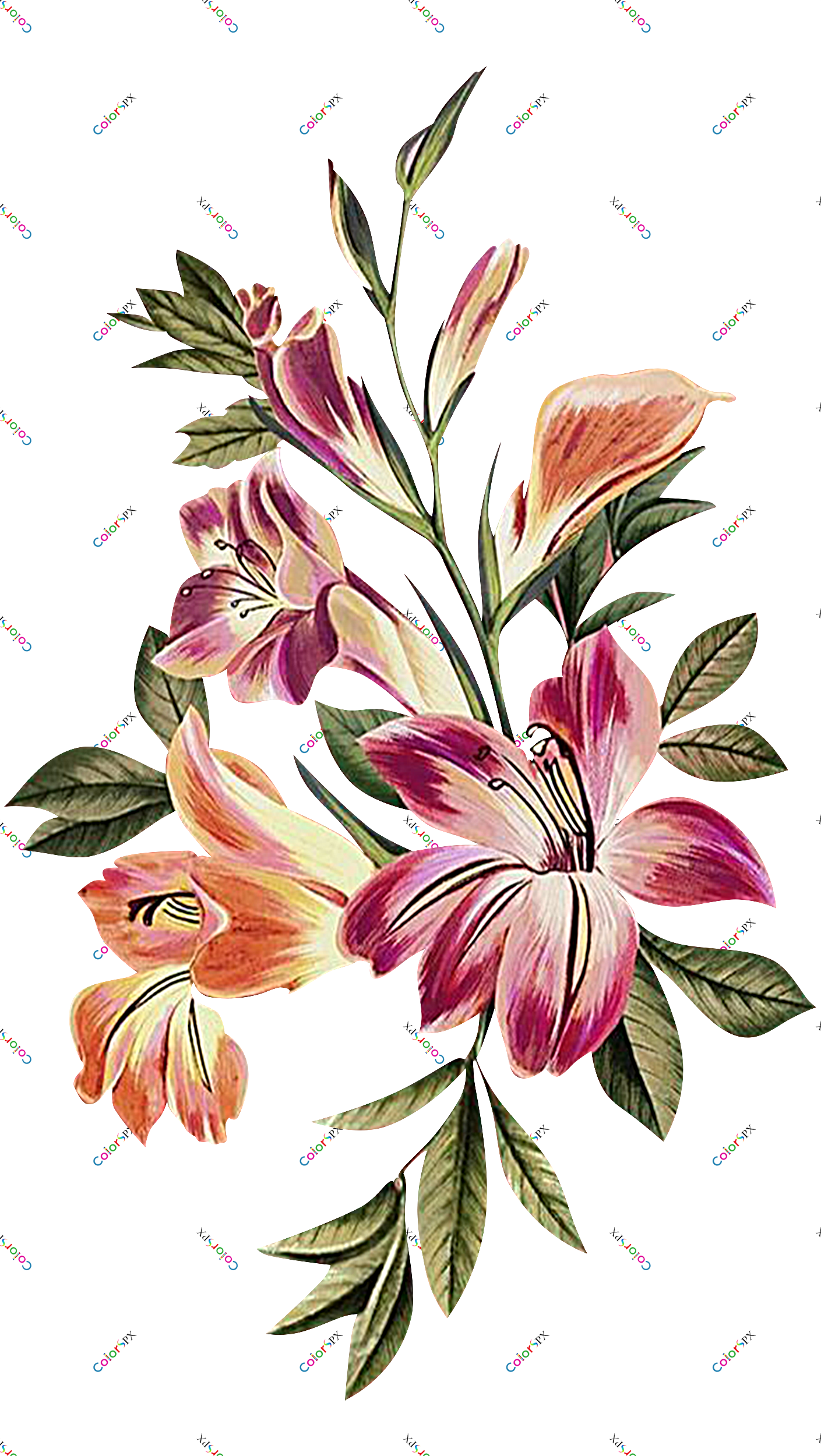 Flower Download Free PNG