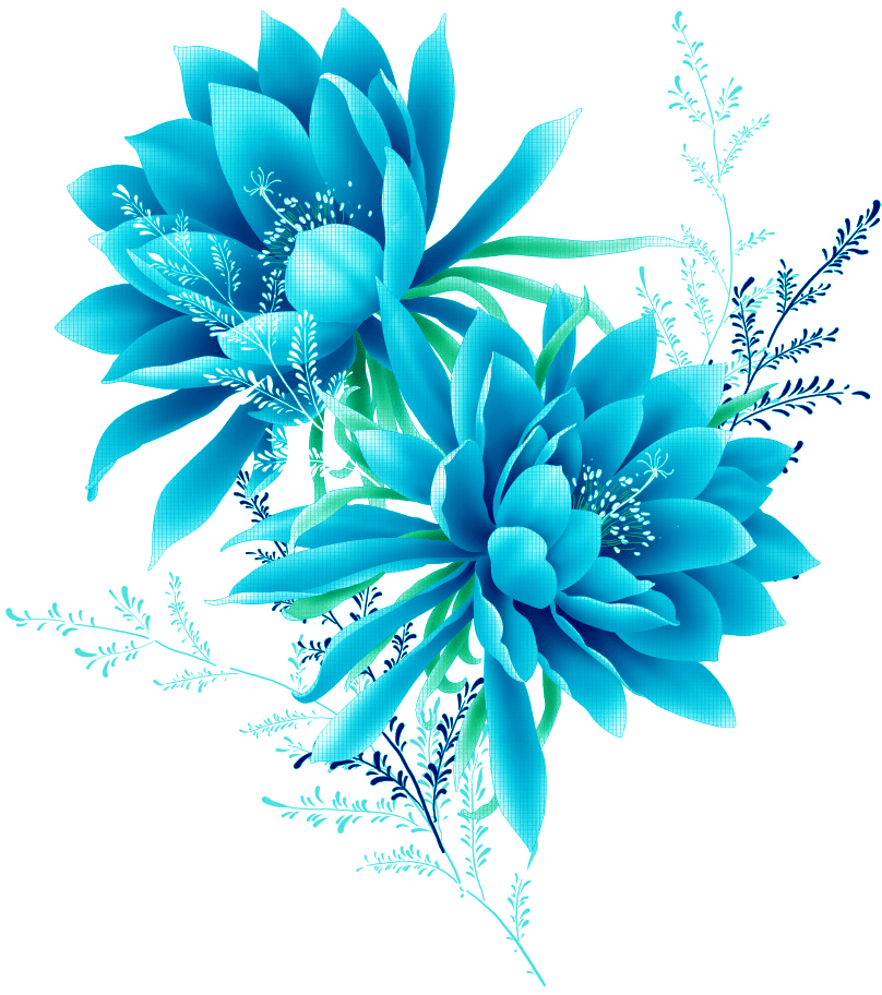 Flower Free Picture PNG