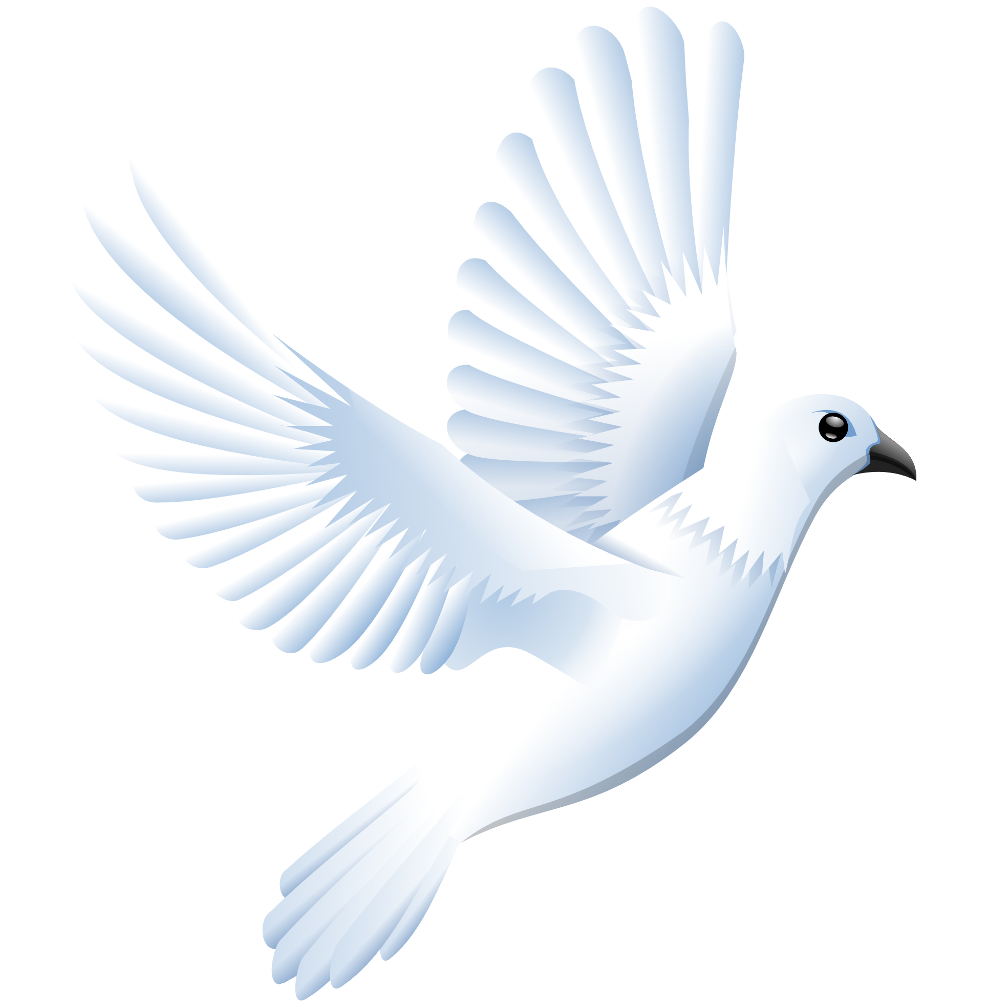 White Pigeon PNG Background Clip Art | PNG Play