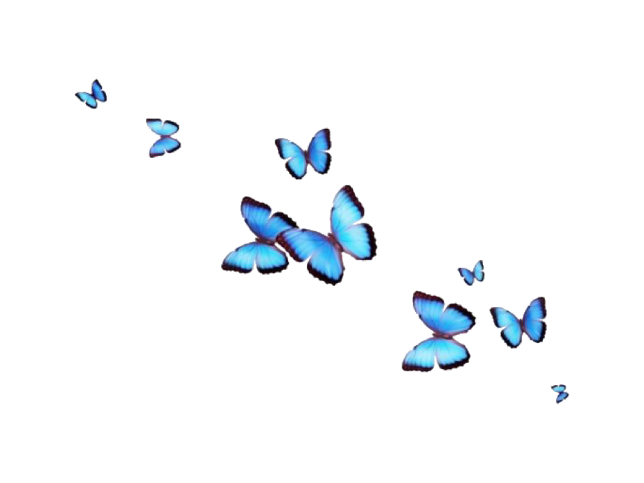 Aesthetic Butterfly PNG Images Transparent Background | PNG Play