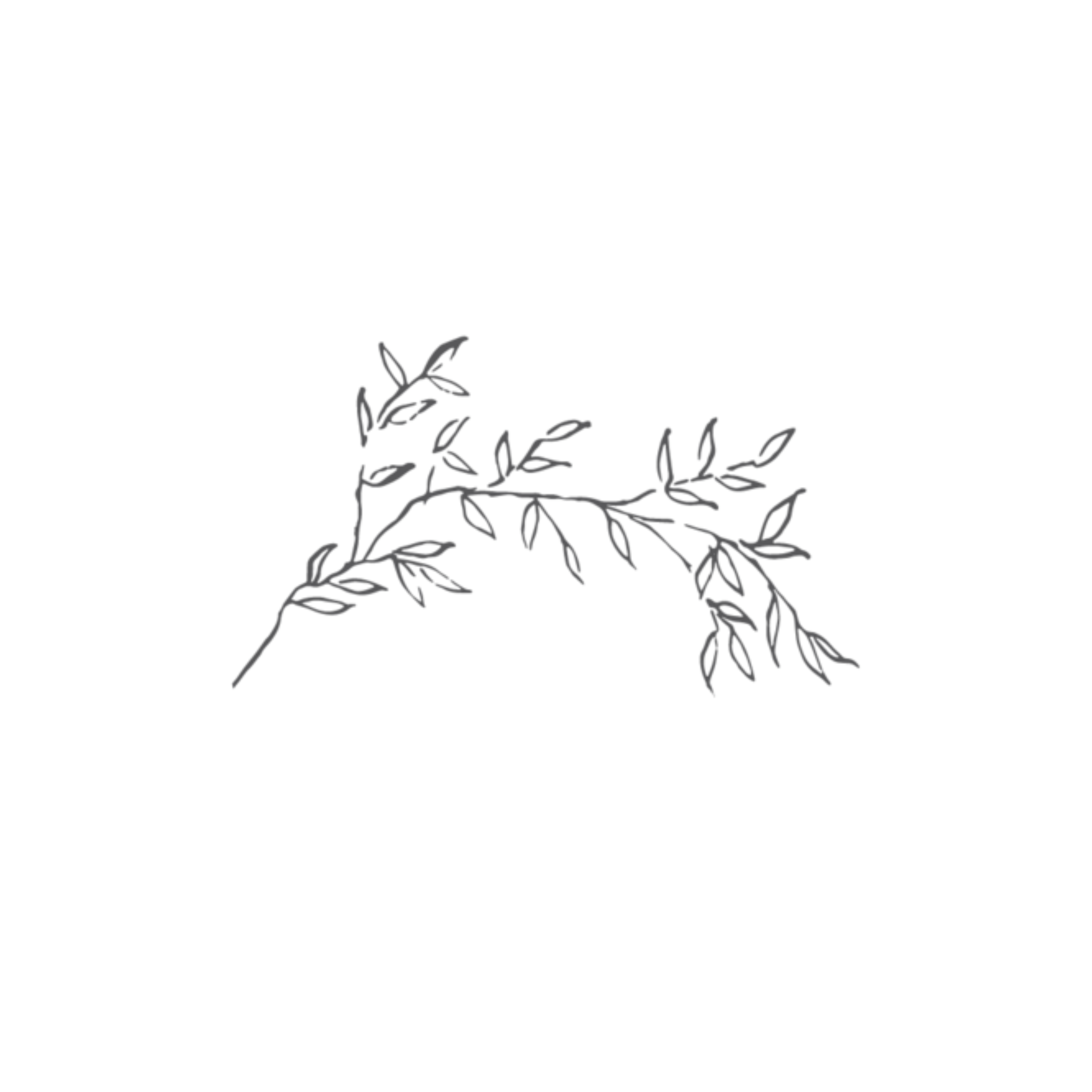 Plant Aesthetic Png Images Transparent Background Png Play
