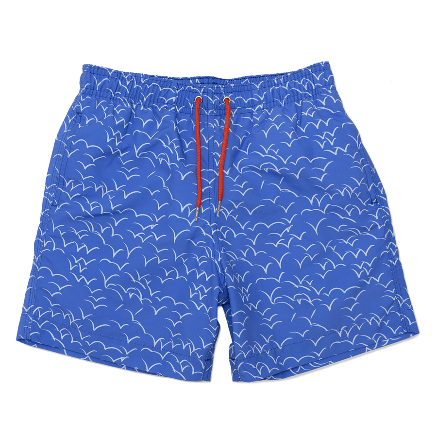 Blue Swimming Trunks PNG Photos | PNG Play