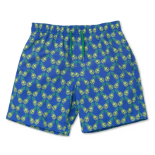 Boys Swimming Trunk Transparent Image | PNG Play