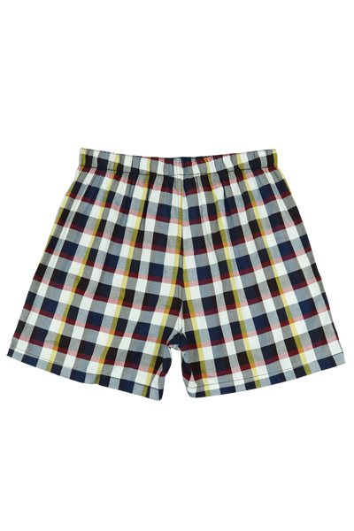 Checkered Boxer Shorts Free PNG | PNG Play