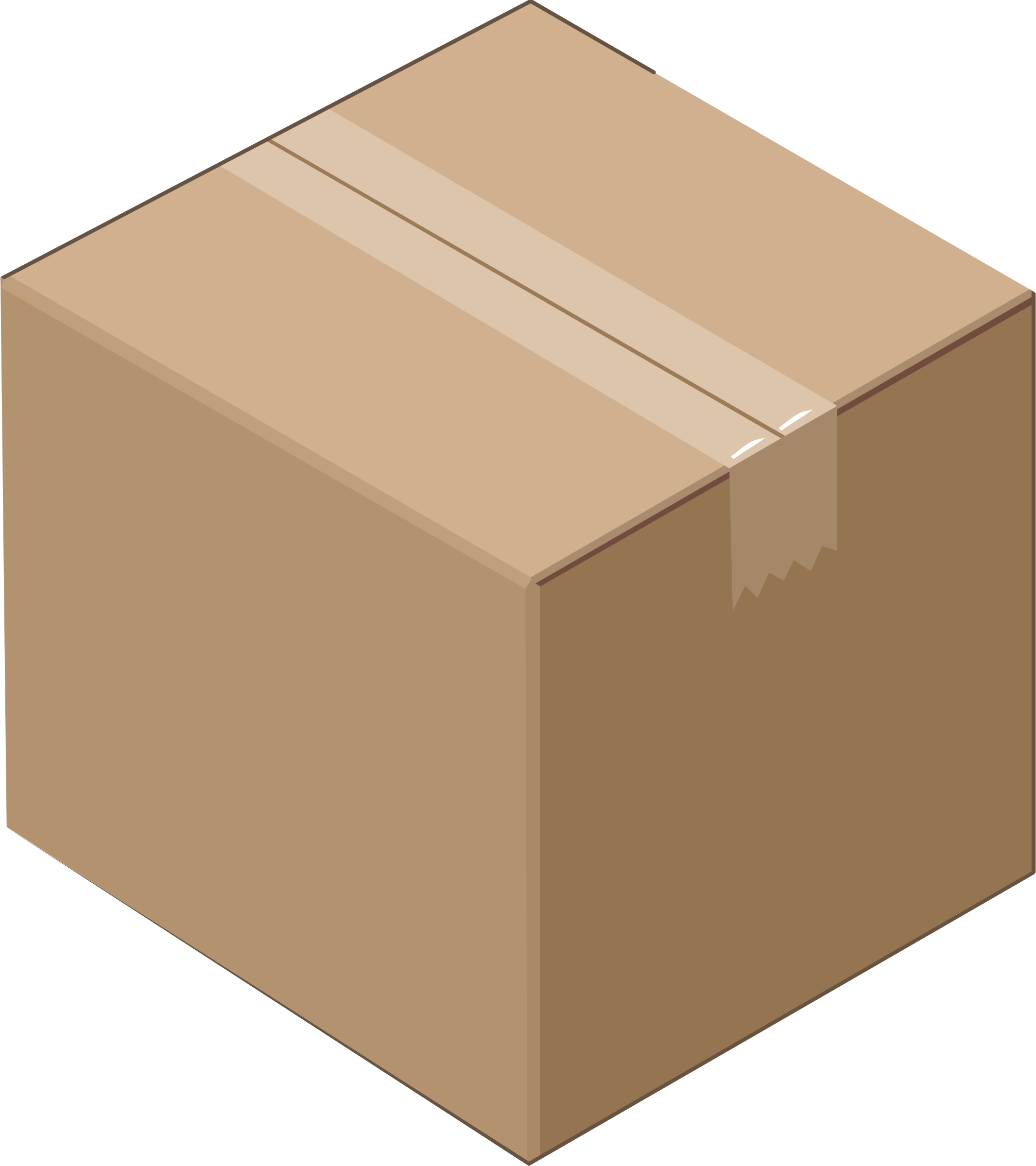 Closed Cardboard Box Transparent File