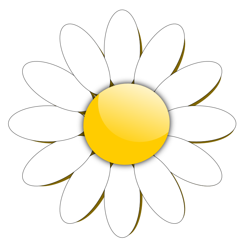 Flowers Daisy White Yellow Free PNG