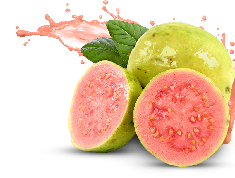 Guavas Background PNG Image