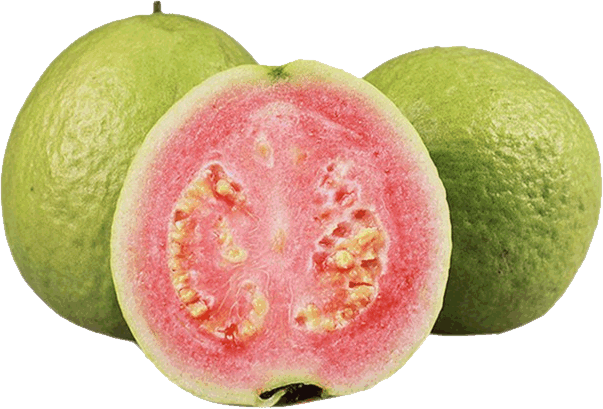 Guavas PNG Clipart Background