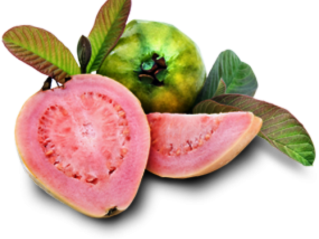 Guavas Transparent Images