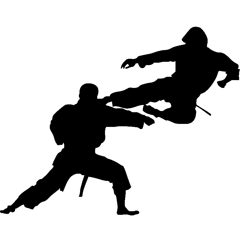 Karate Silhouette Transparent Free PNG