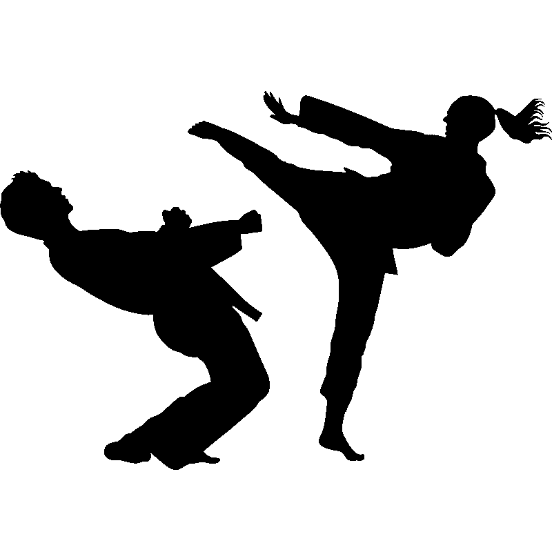 Karate Silhouette Transparent PNG