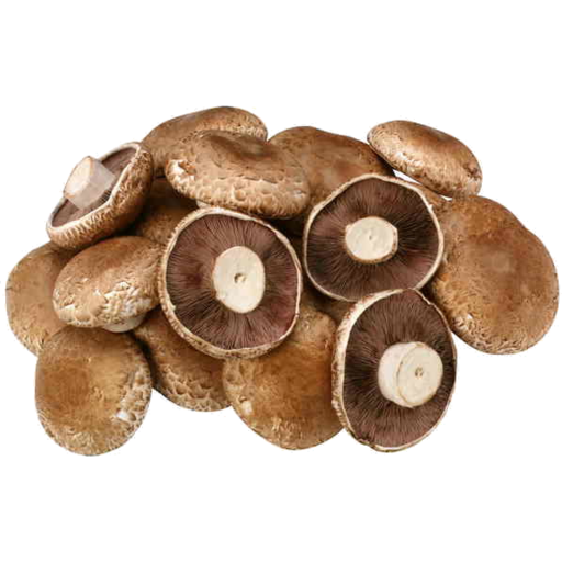 Mushroom Brown Free PNG
