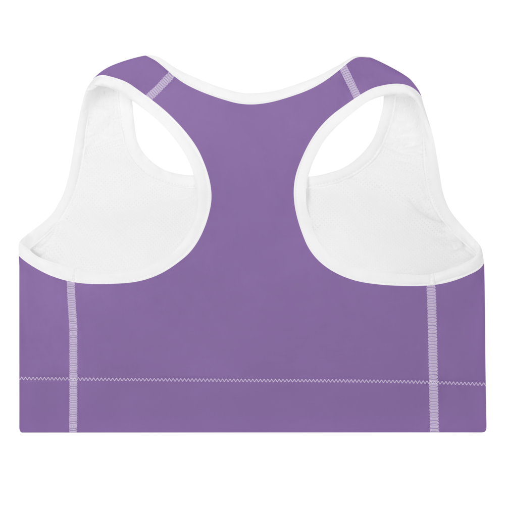 Purple Bra Transparent PNG