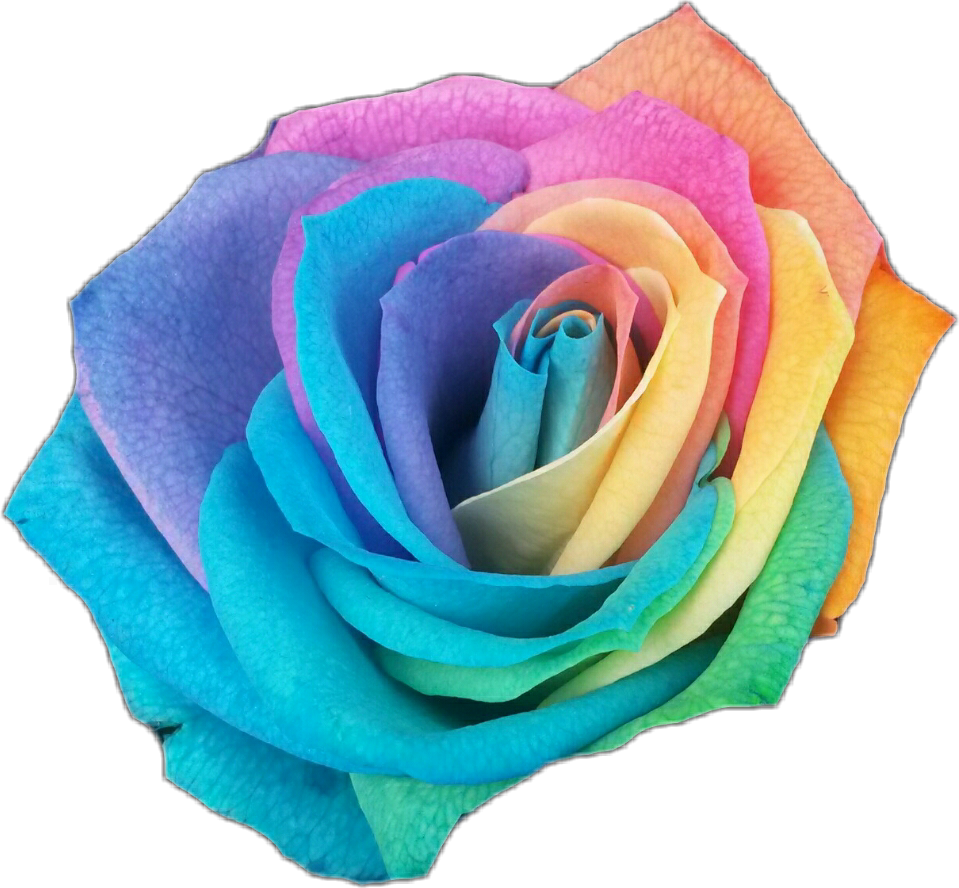 Rainbow Flower Background PNG Image