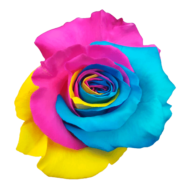 Rainbow Flower Transparent File
