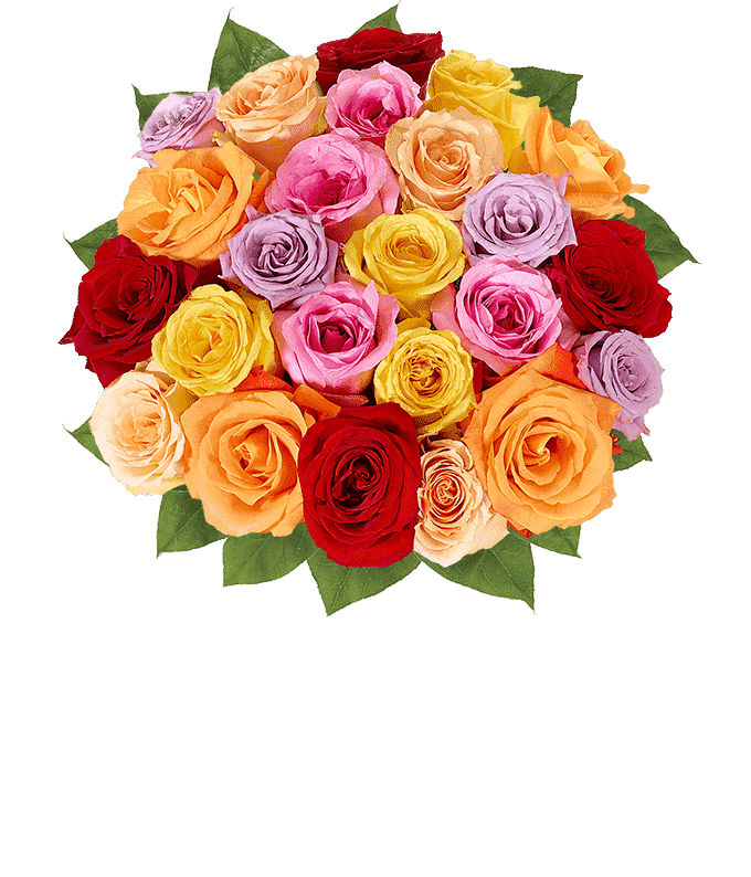 Rainbow Flower Transparent Image