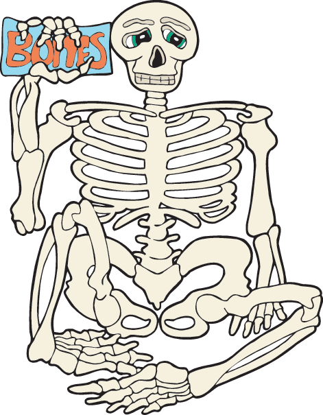 Skeleton Sitting PNG Clipart Background