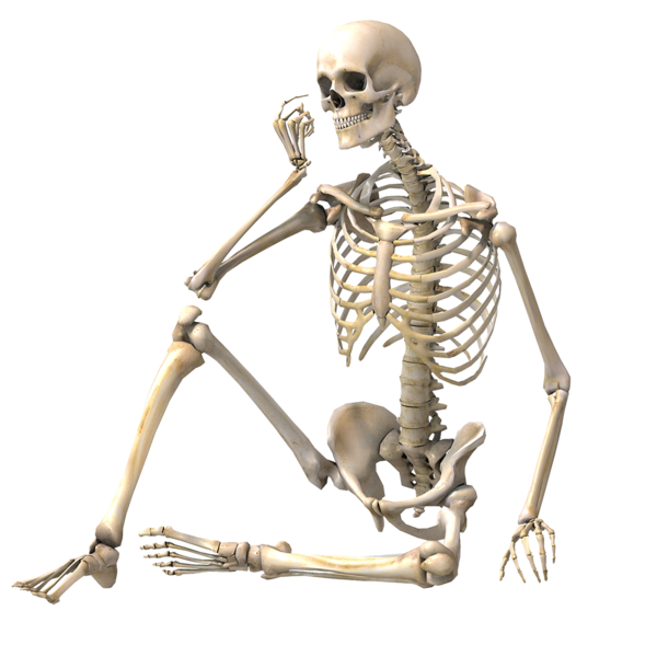 Skeleton Sitting PNG HD Quality