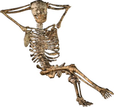 Skeleton Sitting Transparent Free PNG