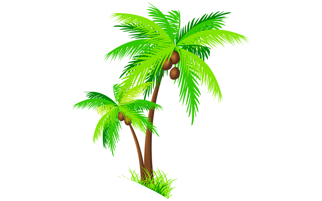 Green Palm Tree Télécharger Gratuitement Png Png Play