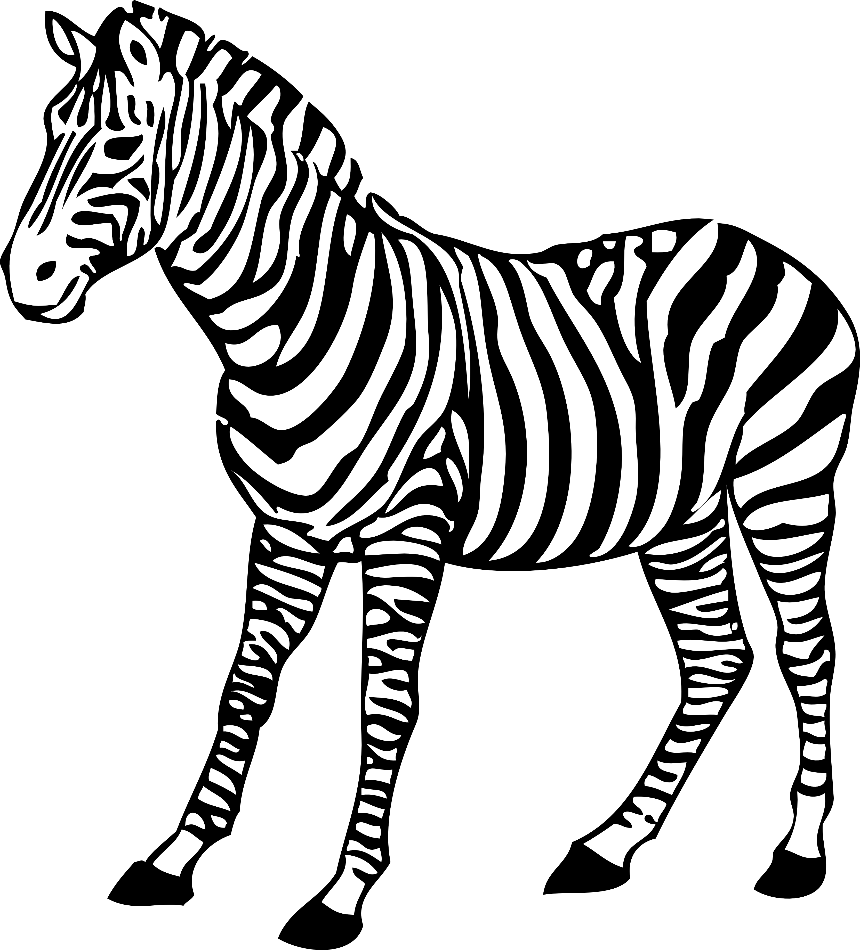 Zebra PNG Images HD