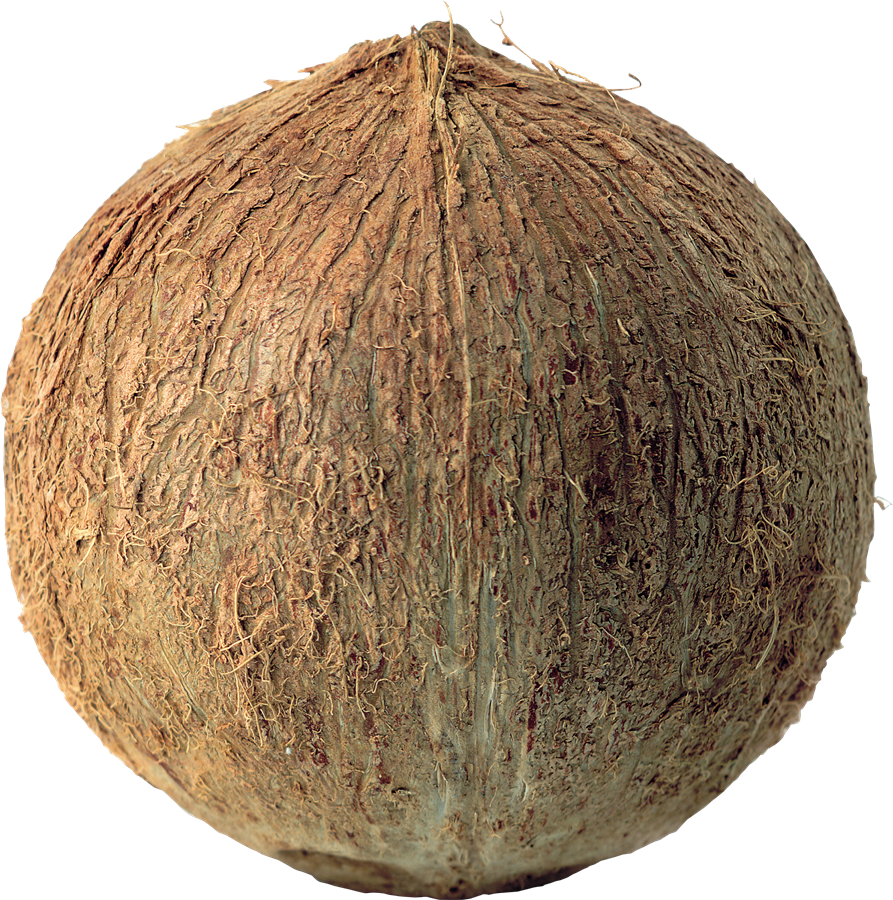 Coconut PNG Images HD