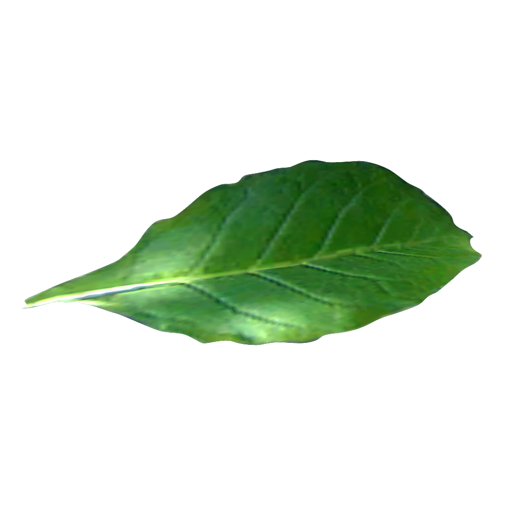 Tobacco Background PNG