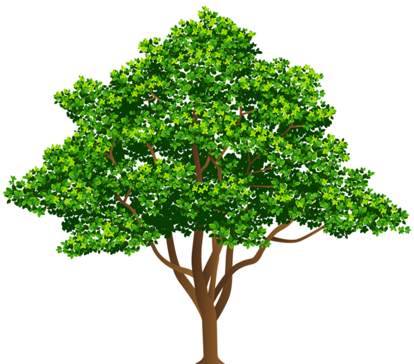 Tree Background PNG | PNG Play