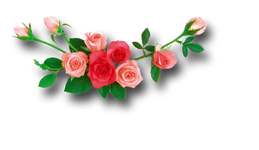 Flowers PNG Images Transparent Background | PNG Play