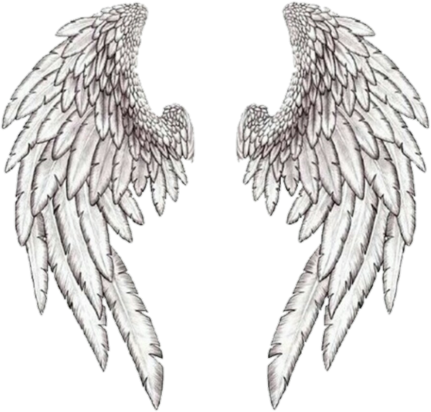 Heart Angel Wings Svg Free Transparent Png Clipart Im