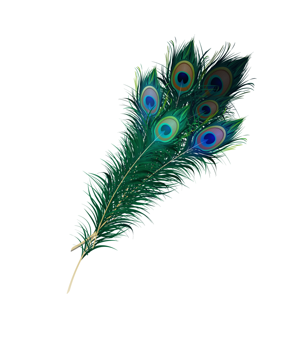 Single Peacock Feather Transparent Free PNG