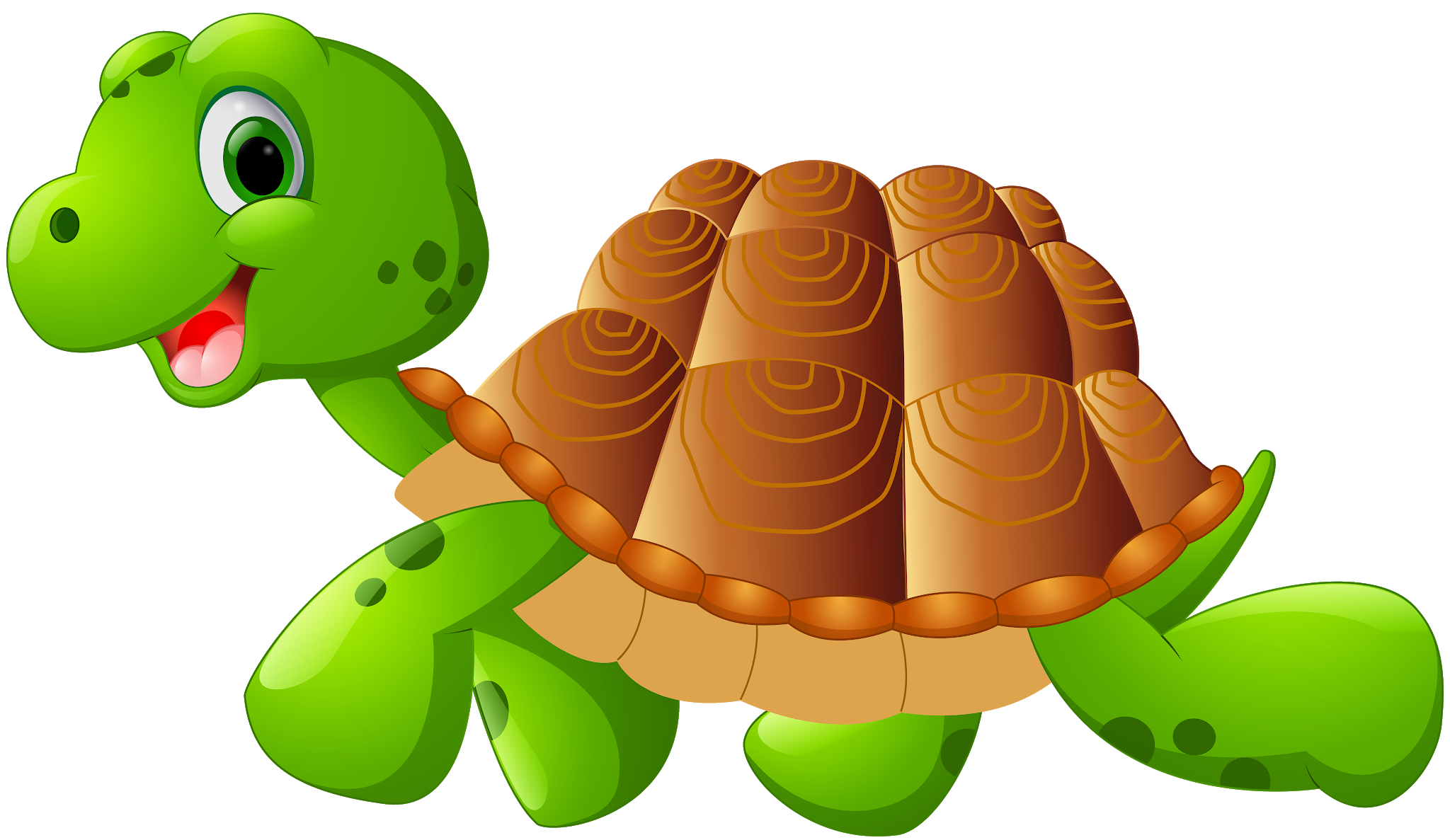 Tortoise Png Images Transparent Background Png Play