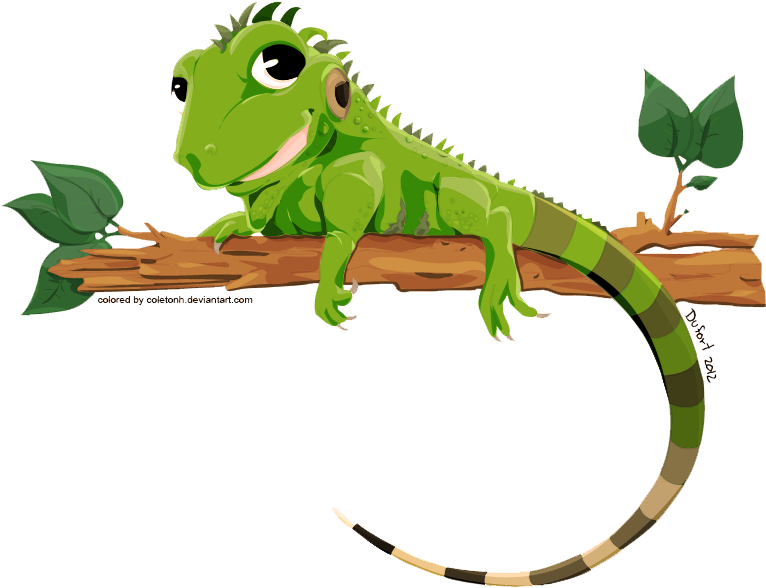 Iguana PNG Clipart Background