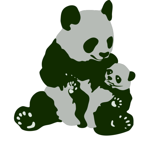 Panda Bear Transparent PNG