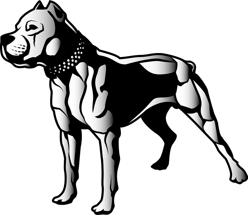 Pit Bulls Png Images Transparent Background Png Play